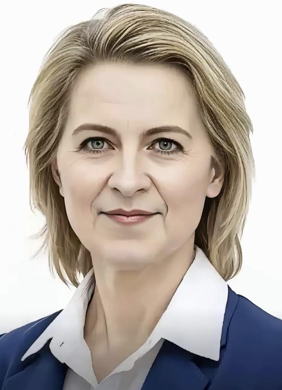 1月12日中欧谈妥了！欧盟没敢搞之前咋呼的惩罚性关税，换成了“价格承诺”，说白了