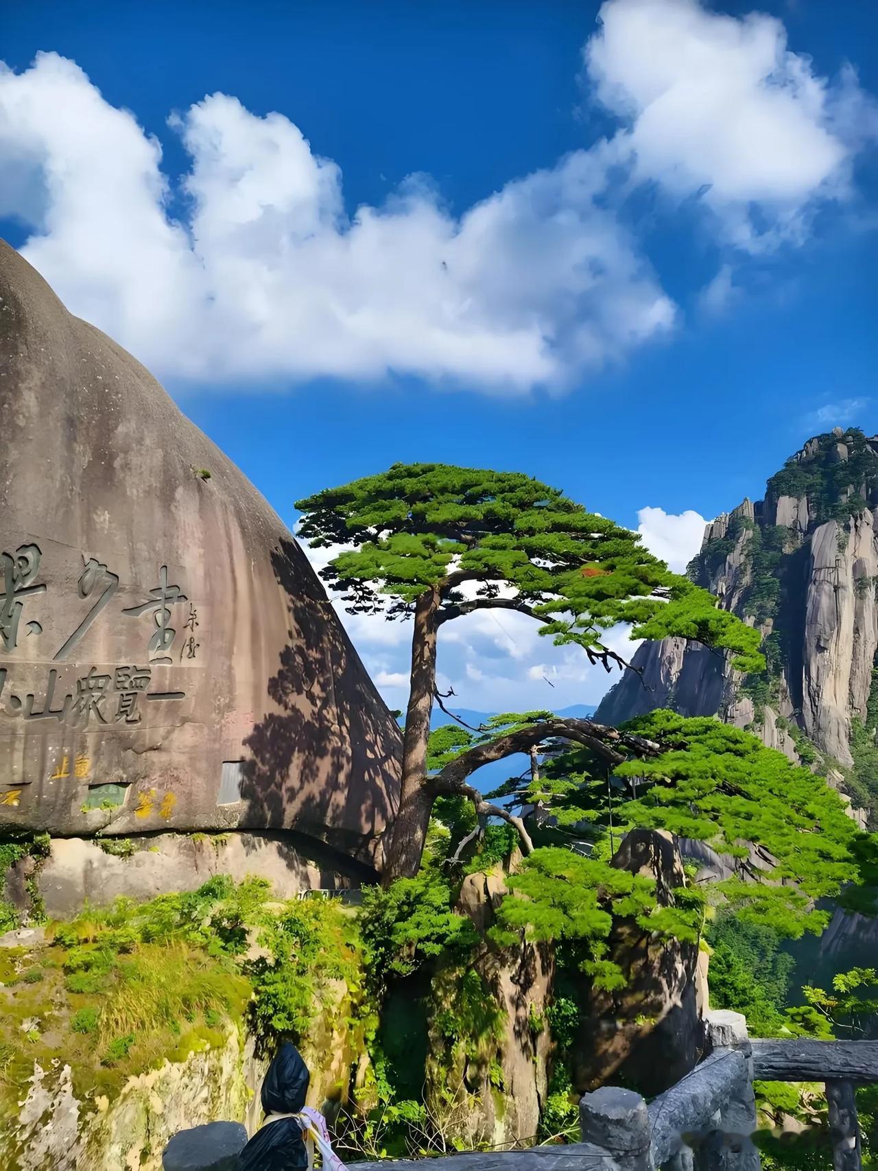 2025年，安徽跃升“中部地区首个外贸万亿省份”。2026年第一季度，安徽又捷