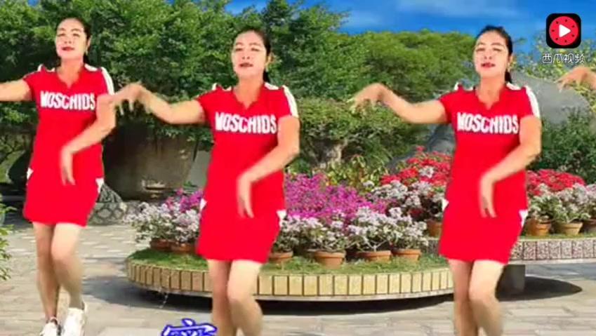 [回声嘹亮]歌曲《粉红色的回忆》 演唱:李玲玉_