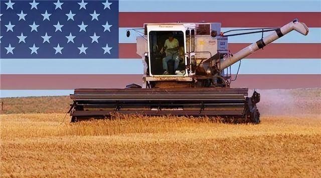 美国是世界上农业最发达的国家，为什么社交媒体上的美国用户会羡慕中国的水果蔬菜？根