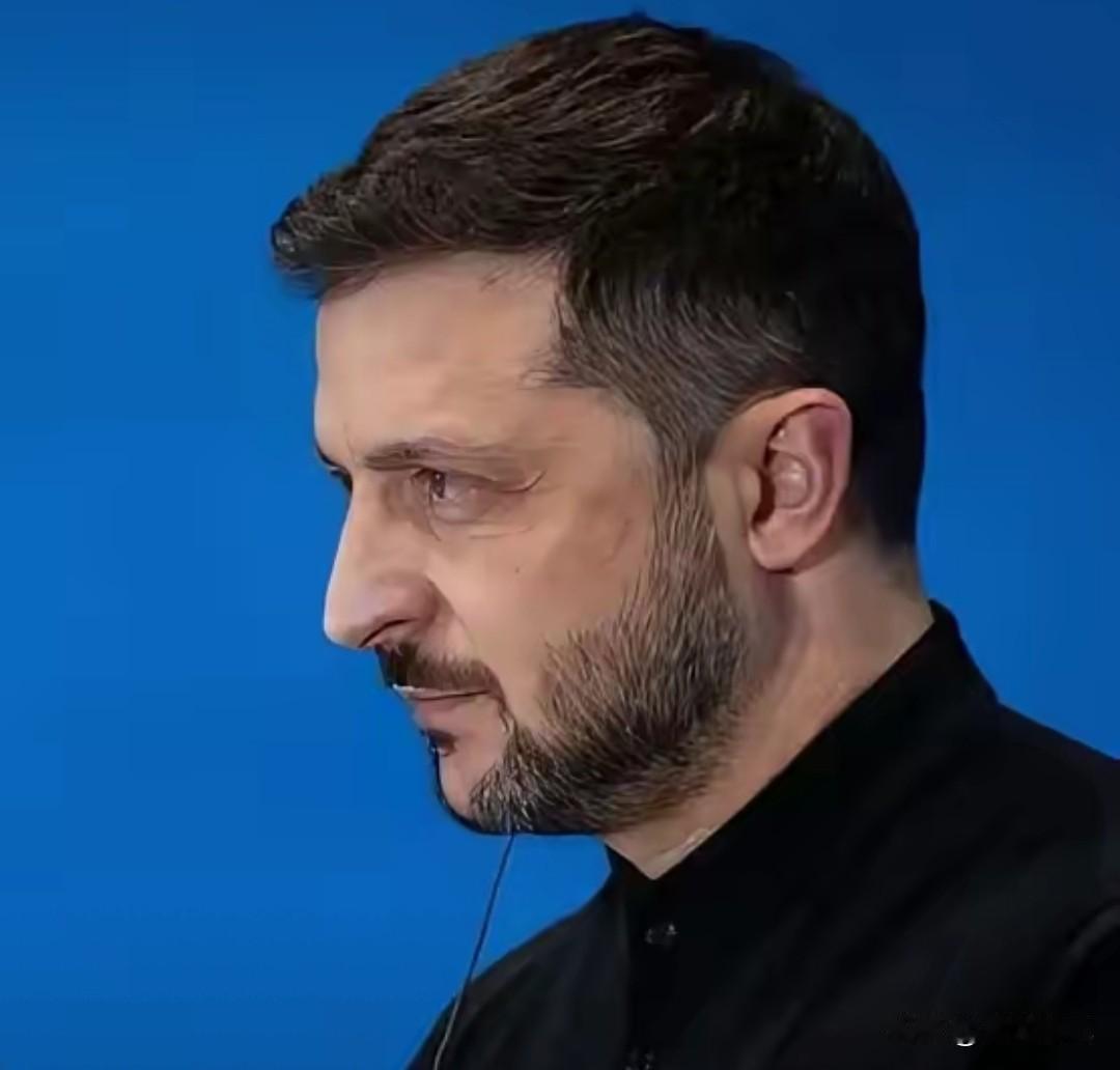 屋漏偏逢连夜雨，接连而至的这些坏消息让泽连斯基五内俱焚。12月12日欧盟高级官员