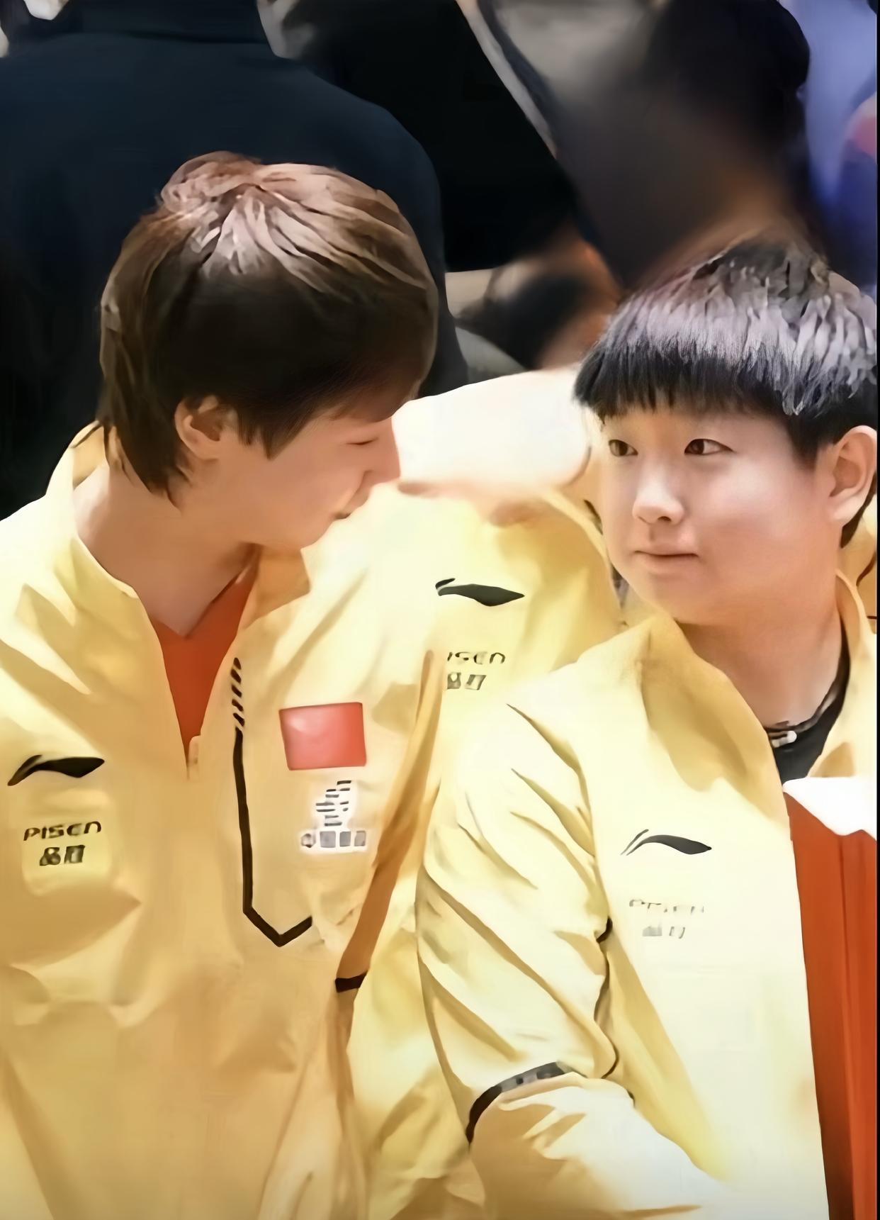 国乒现役主力球员毕业（在读）学校!陈幸同：博士研究生(成都体院在读)王楚钦：