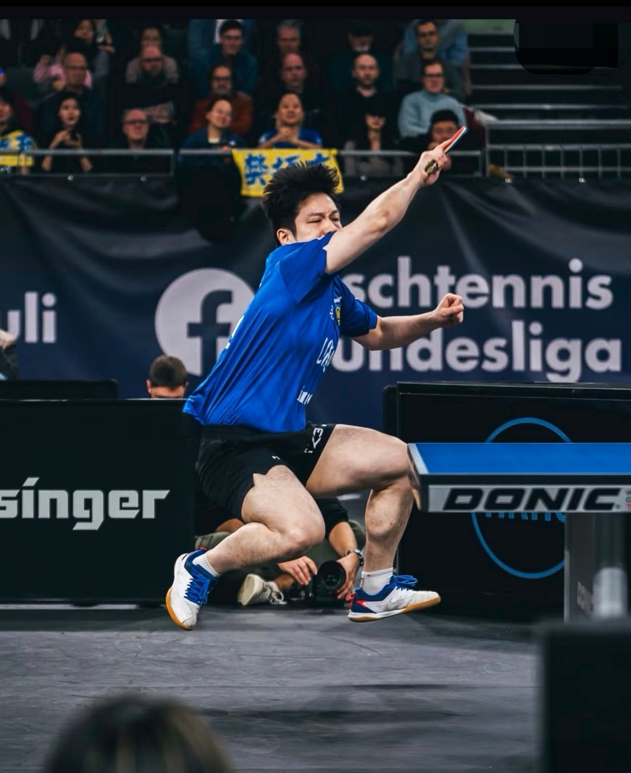 🇩🇪摄影师精准抓拍了飞天熊猫的最高点期待真王归位一代宗师樊振东全国人民都想樊