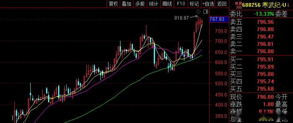 今晚寒武纪出了业绩预告，2024年净亏损4.43亿元。但按单季度算，公司四季度实