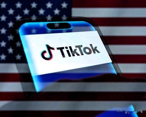 尽管TikTok声称问题出在系统故障上，纽森仍启动了对该平台的审查。