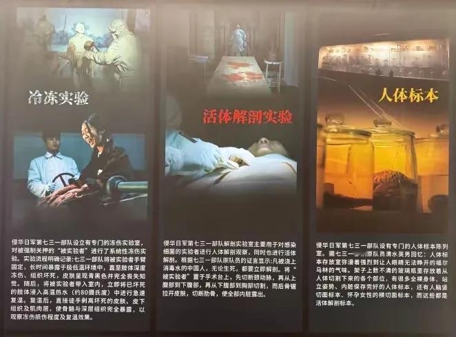 我去看了《731》，发现和网上传的一点也不一样，恐怖镜头不多，看着不像一部电