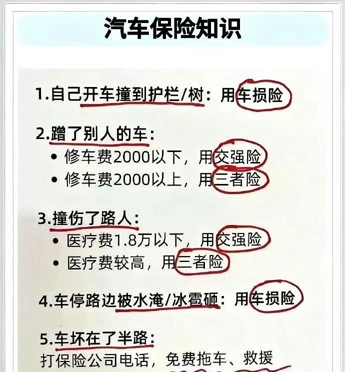车险小知识：交强险：保的是别人，不是你💔三者险：保的是别人，不是你[伤