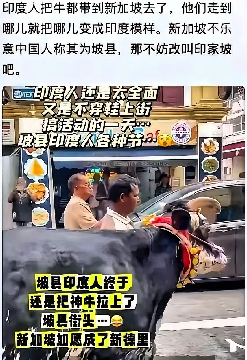 某些人把新加坡称为坡县，新加坡人还能极力的辩解和反击，但“印家坡”的出现，却让某