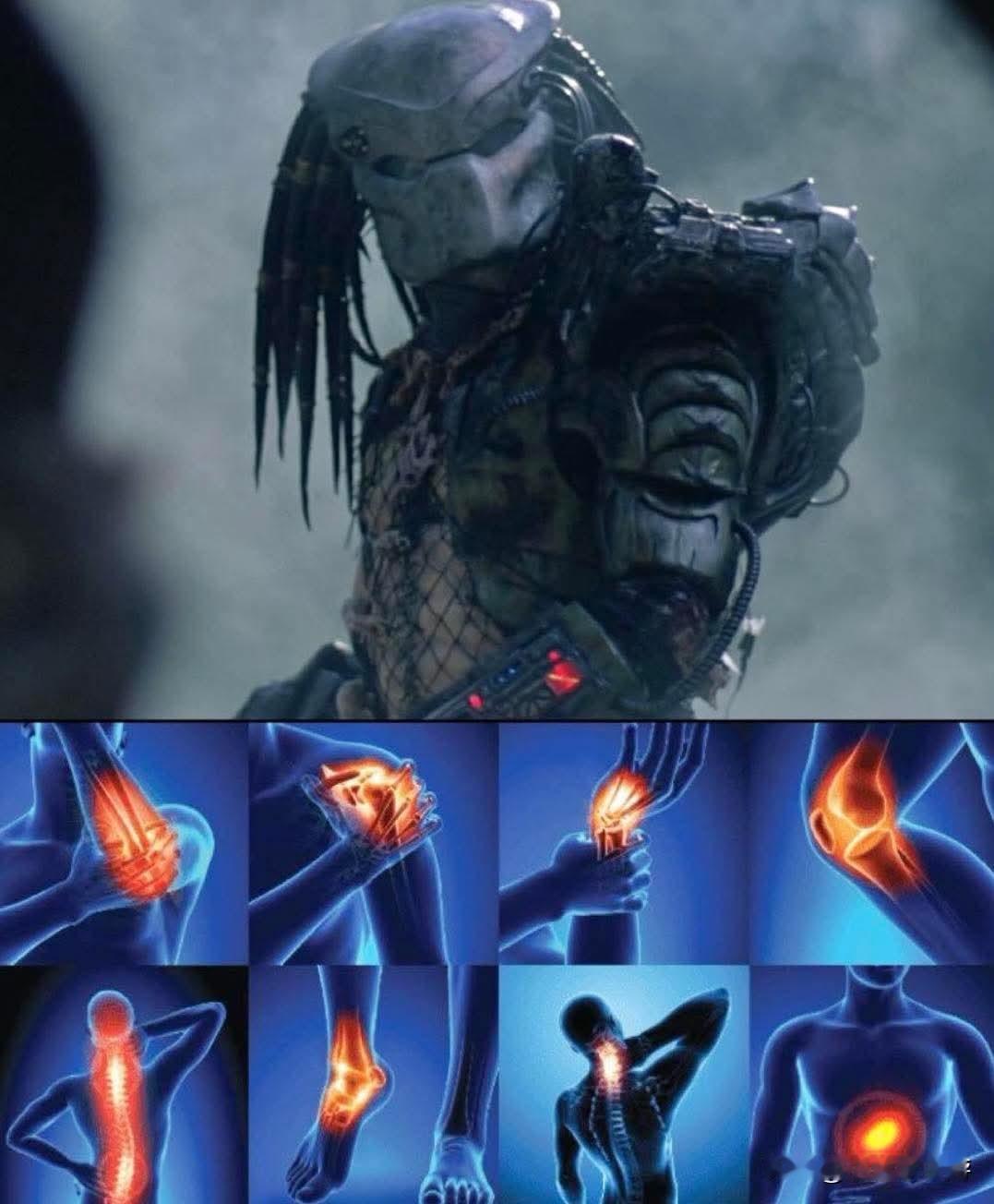 捕食者《铁血战士》在追逐猎物时所看到的景象[捂脸哭][笑着哭][捂脸哭]