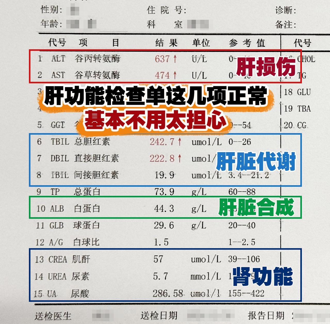 肝功能检查单这几项正常，基本不用太担心！  这是上周来检查的患者的肝功...