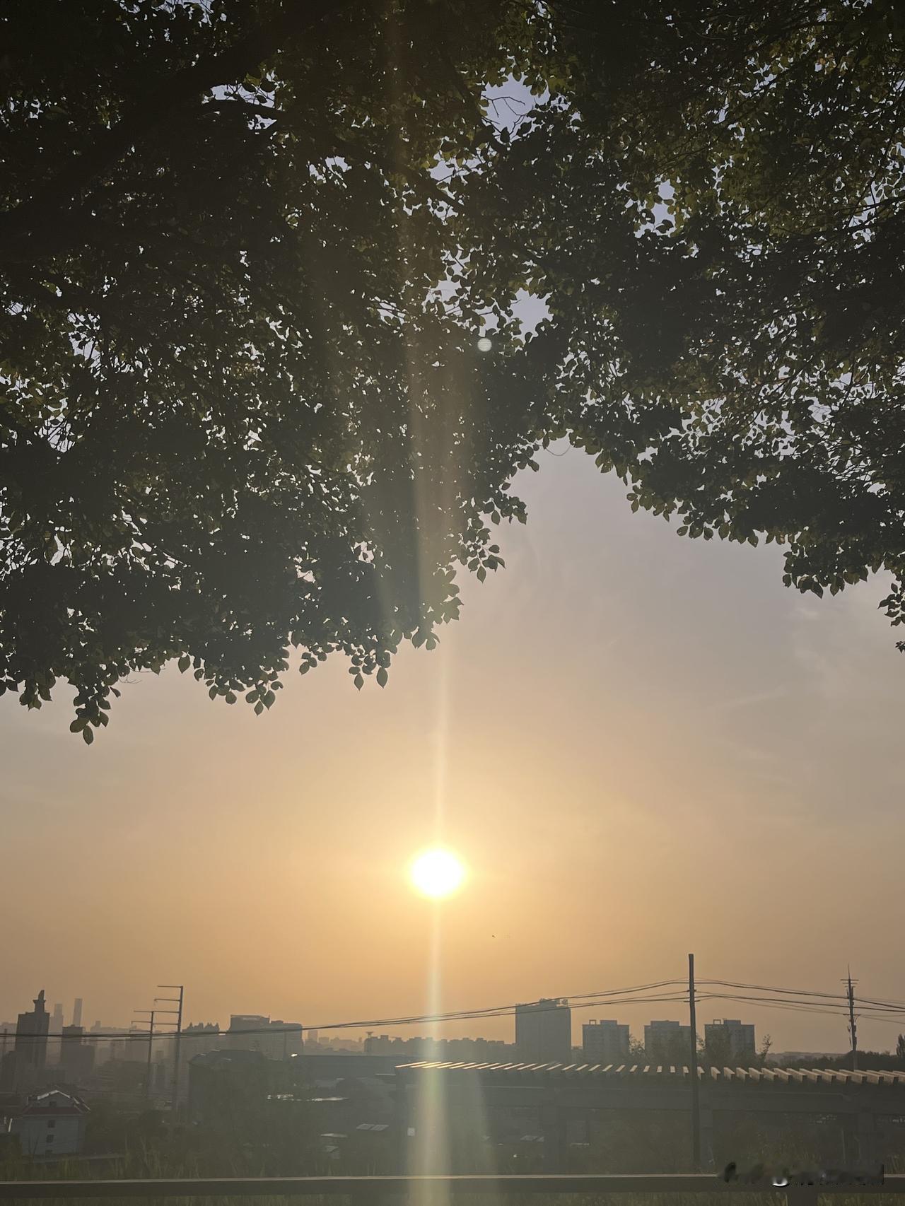 夕阳西下炊烟升起伫立在春风里仿佛听见母亲的呼唤抬眸间幽香弥漫家的方向就