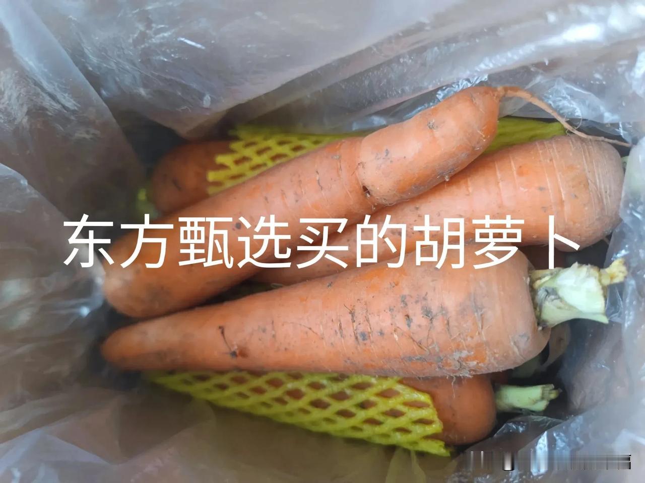 真不好意思!作为山东人，想吃一根胡萝卜，还要让东方甄选给送到家门口，作为半个山东