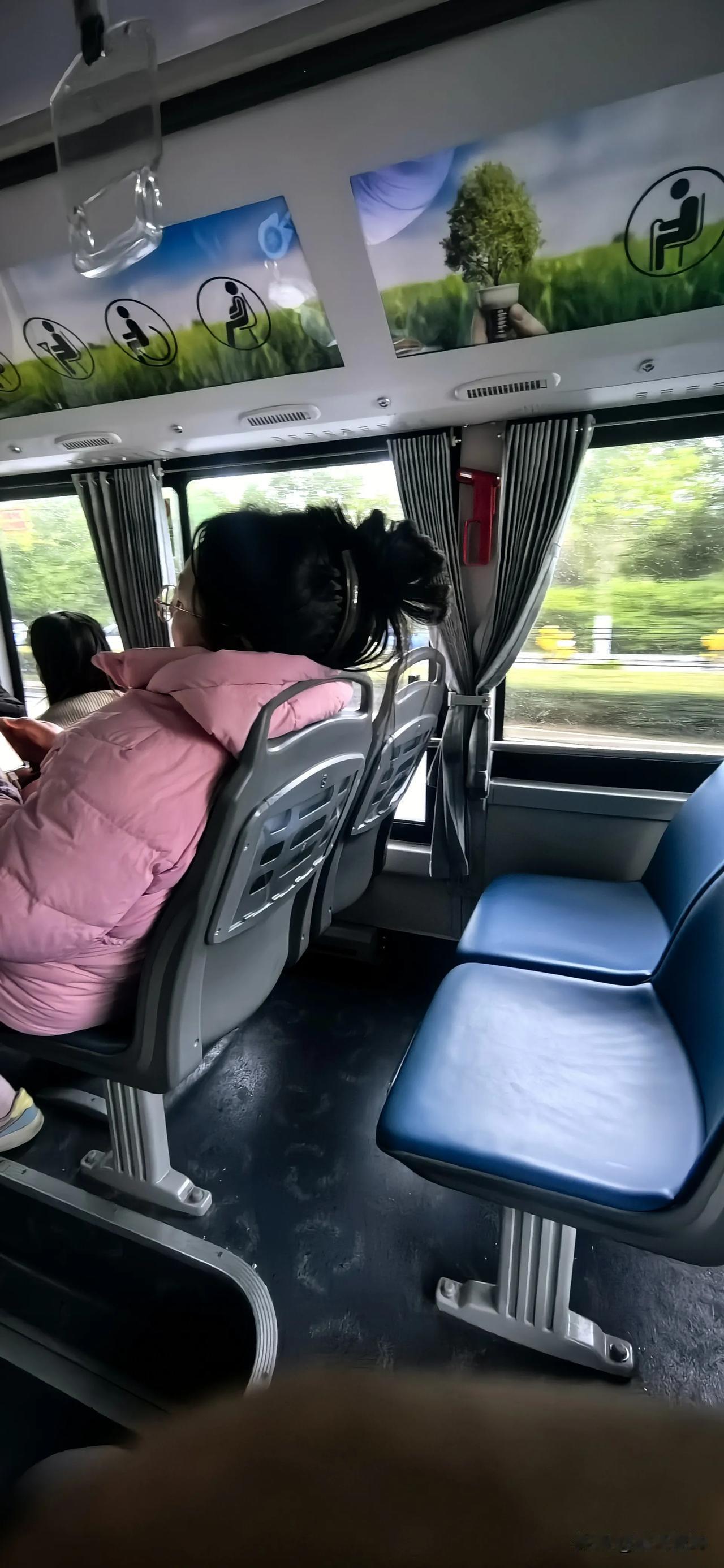 恶心到我了！！！这么长的毛，搞的到处都是，让我怎么坐！