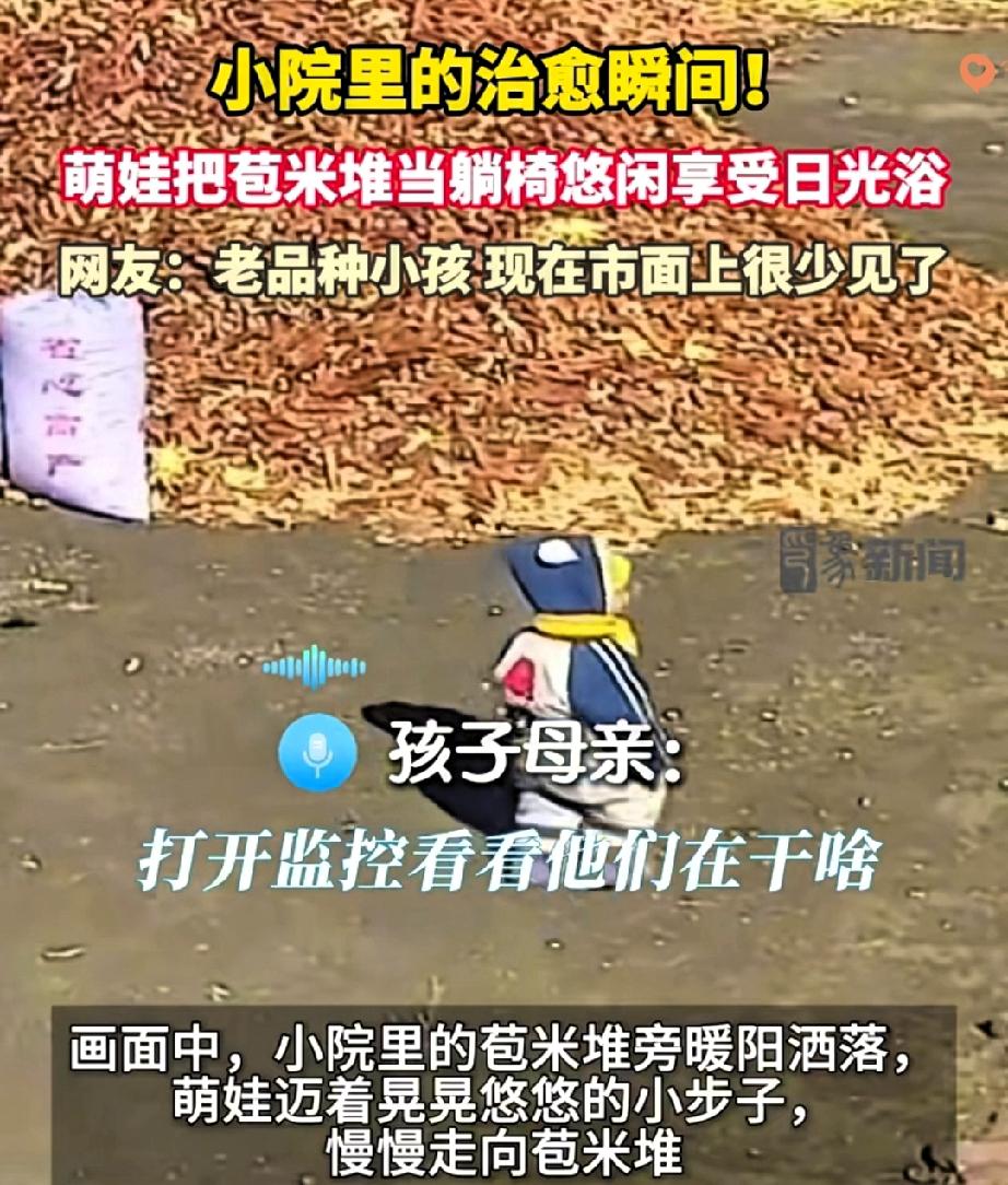 吉林这位22个月的宝宝也太会享受了吧！妈妈想娃打开姥姥家监控，直接被画面萌化