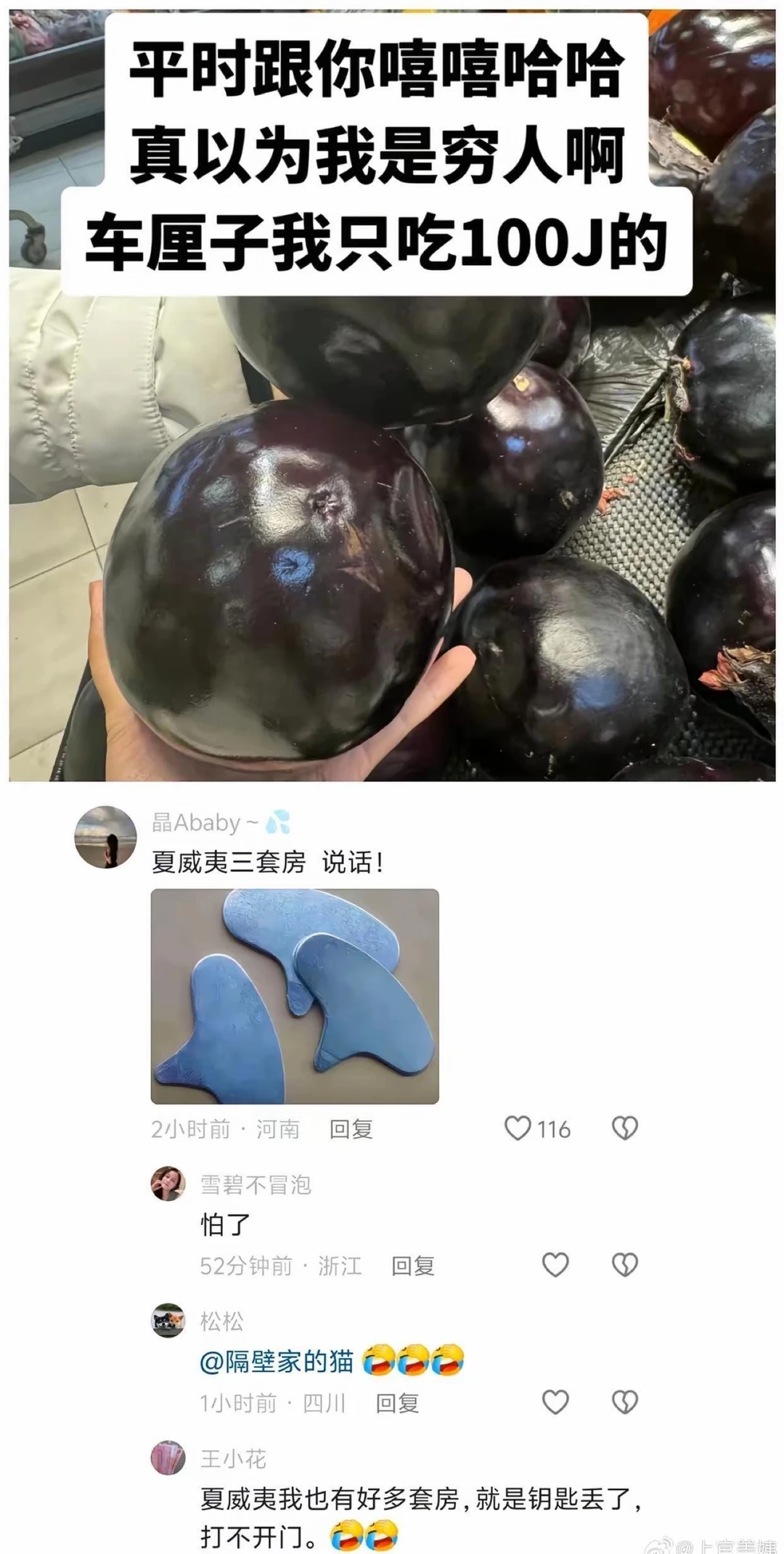 梗王vs天赋型网友