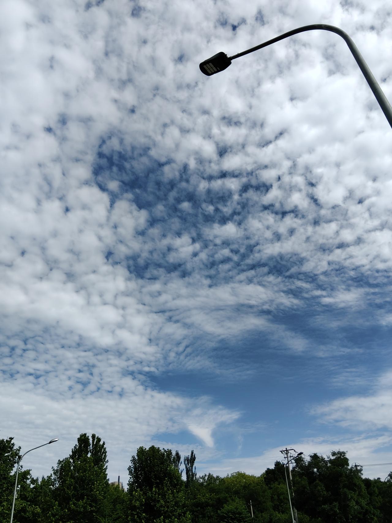 今天又是闷热天，上午冒着酷暑，去西苑医院给某人取代煎的中药。昨天某人去看中医，我