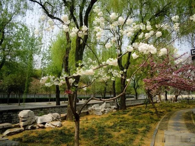 向湖边作者：张拭万里烟堤，百花风榭，游女翩翩羽盖。彩挂秋千，向花梢娇对。