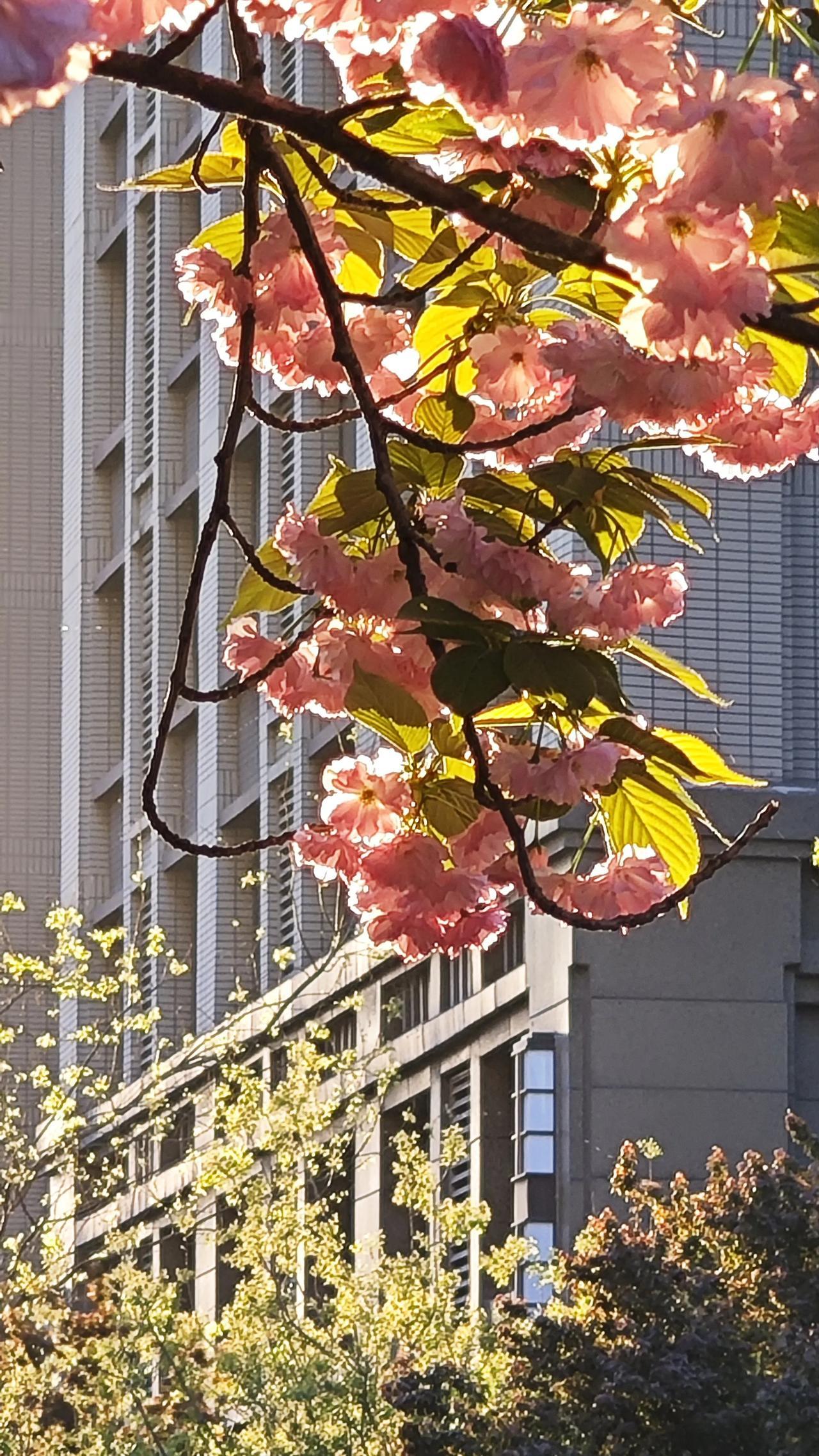 人体自己的修复能力真是太强大了。我以前不信，直到这4件事发生在我身上。你发现