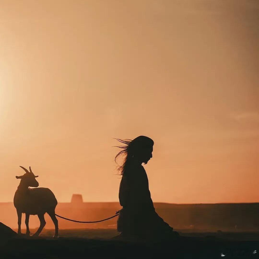 已经不止一个人和我推荐《太平年》了其实我感觉五代十国是大多数人其实不太了解的历史