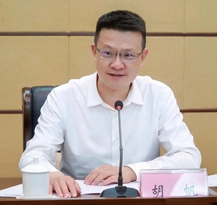 广东新来了个省委常委，挺年轻的。据羊城晚报•羊城派消息，近日，经批准：胡帆任广