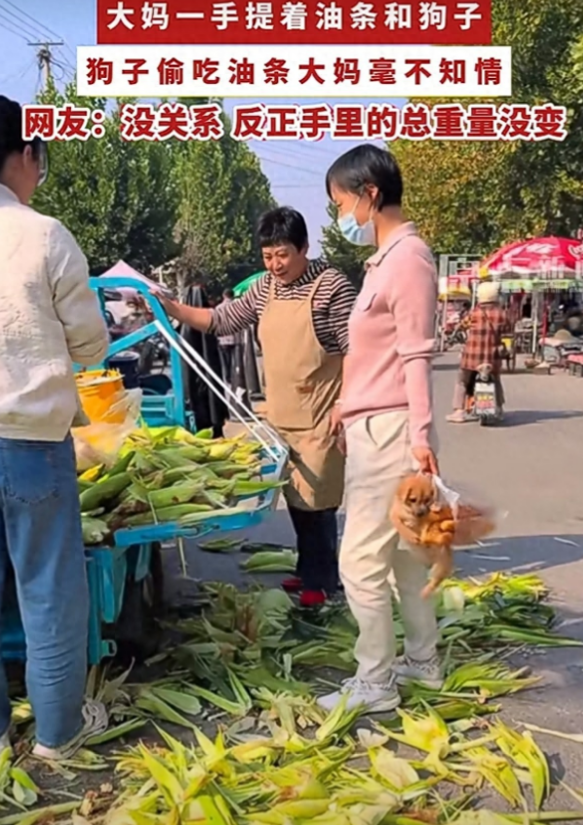 哭笑不得！10月15日报道，山东一集市上，大妈单手拎个塑料袋，里头一边挂着油条、一边装着小狗，她正低
