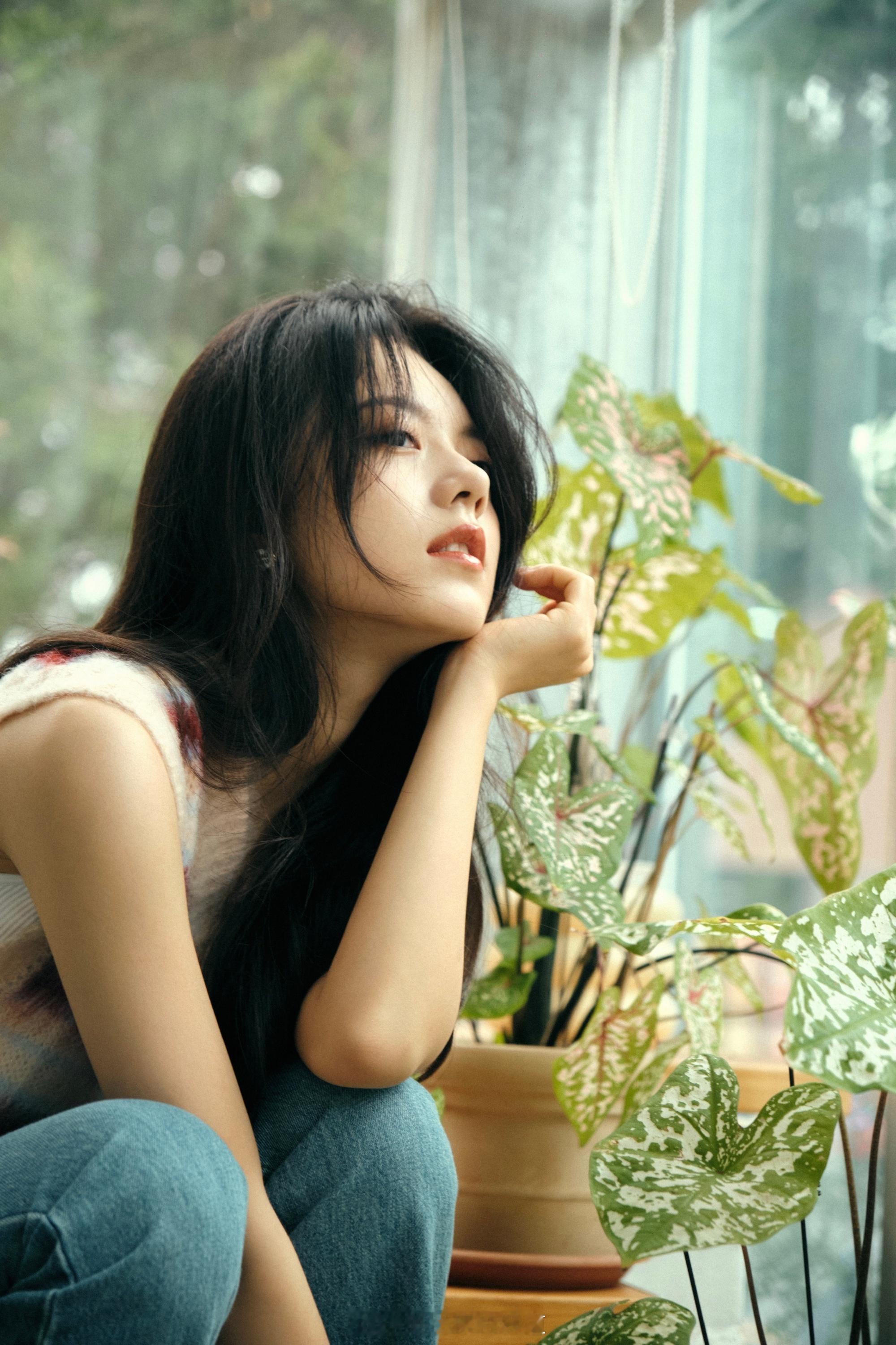 赵今麦童话森林花房美图​​​