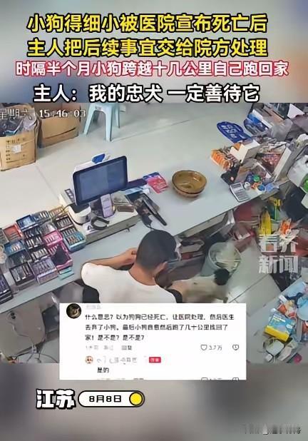 小狗在宠物医院被宣布死亡后，主人不忍面对将小狗遗体委托宠物医院处置。令人意外的是