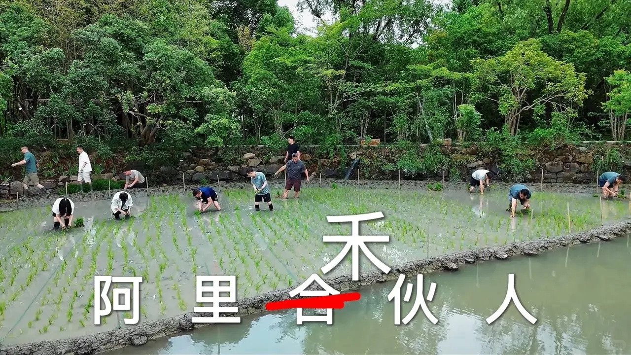 意外！最近阿里的管理层干了一件特别有意思的事儿，不是开会，不是出差，而是十几个人