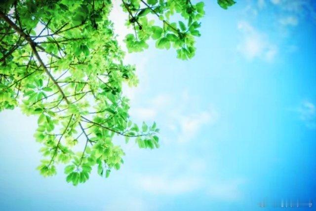 让喜欢的事成为生活，不问东西顺心而走。​​​