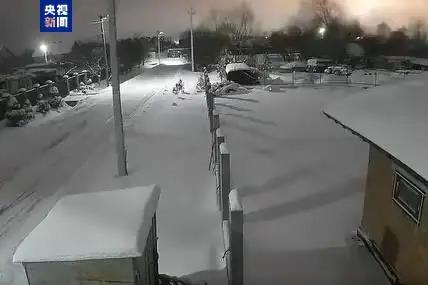 【手下留情】当地时间1月9日，乌克兰利沃夫市市长萨多维表示，当天俄罗斯武装力量