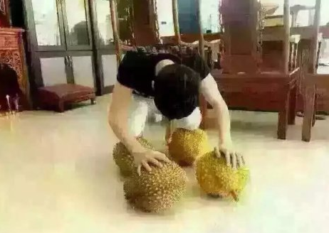 跪榴莲认错表情包图片