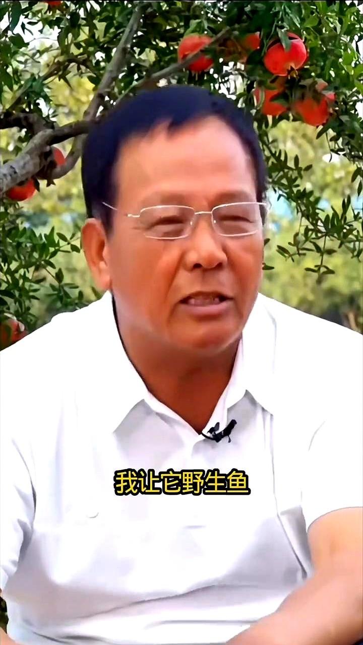 钓了20年鱼，才悟透一件事：野钓鲫鱼，调低钓高才是王道。空杆多？双尾少？别再