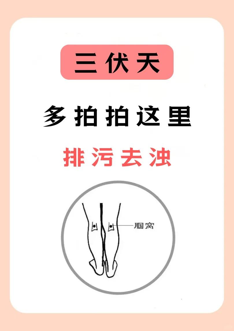【三伏拍这！湿气浊气全赶跑，浑身轻！】三伏天是一年中阳气最盛的时候，也