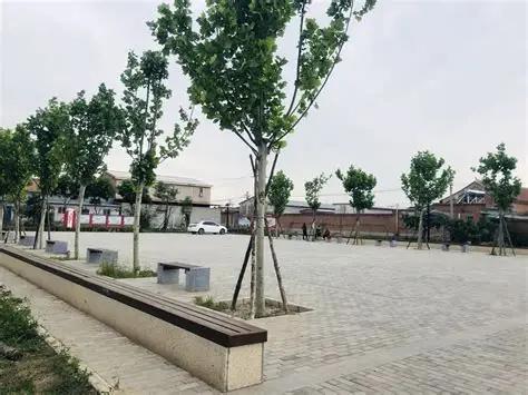 我们这里不打头也不打心脏，按直了从肛门捋顺了开枪，一枪到顶在山东乐陵大孙村惨