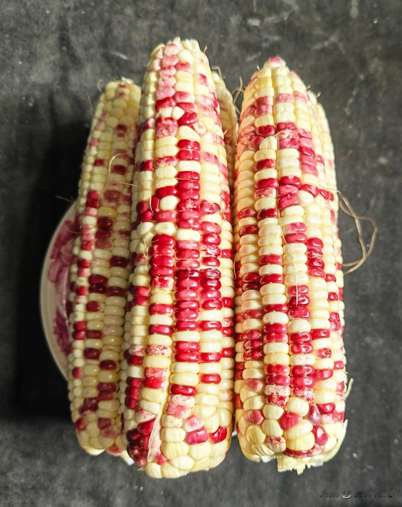 现在又到了吃花包谷的时节，贵阳已经大量上市，10元3斤，很便宜。又糯又甜，太好吃