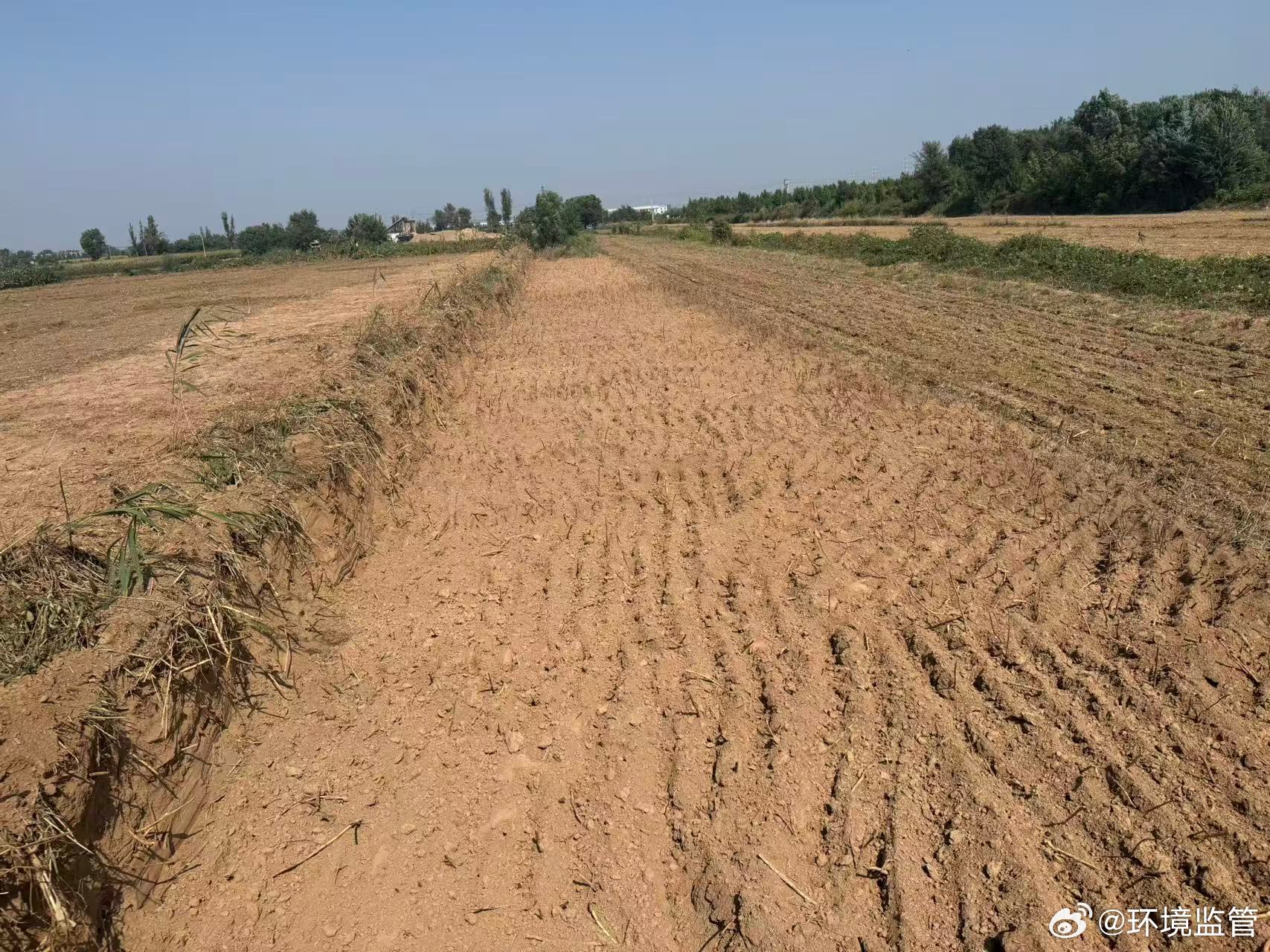 关于曲周县河南疃镇河二村非法耕地上取土破坏耕地，村干部履职不力、任职资格违规问题的举报河北省邯郸市曲