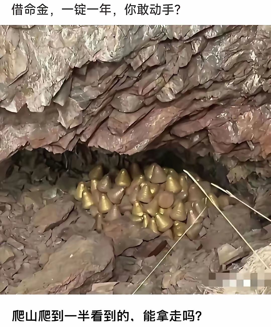 有几个能忍着不拿走他？