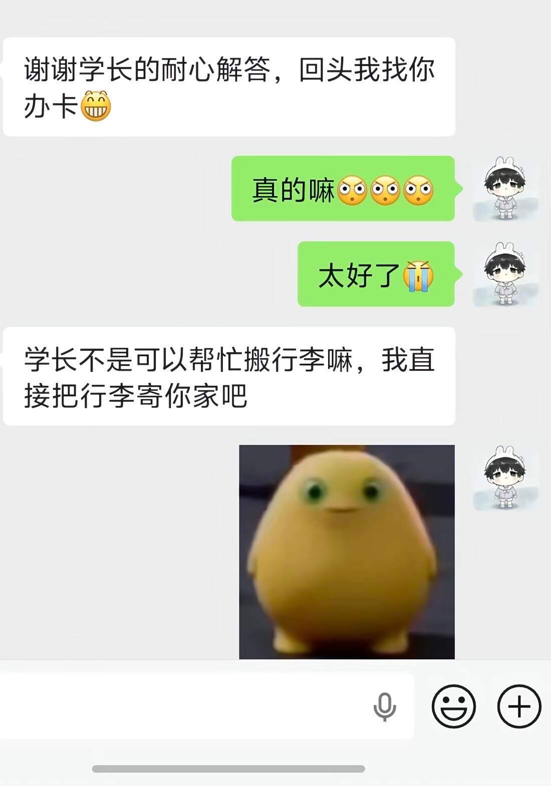路过的狗都得被大一新生使唤