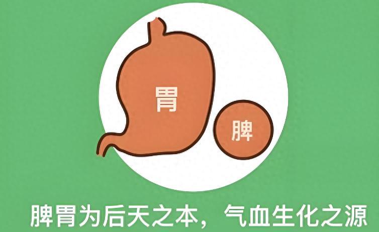 脾胃受损，百病由生！5个健脾养胃小方法，养好脾胃人长寿作品声明：个人观点、仅