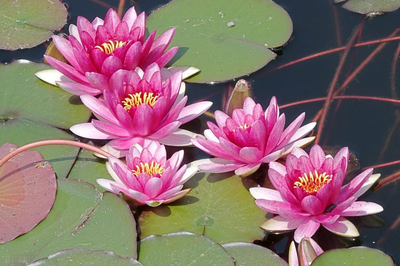 我们最大的悲哀，是迷茫地走在路上，看不到前面的希望；我们最坏的习惯，是苟安于当下