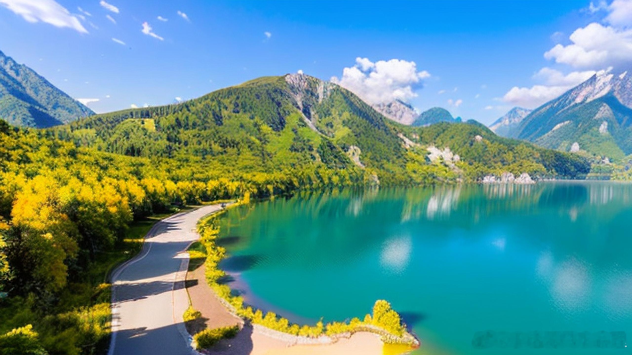 2026属牛人会飞黄腾达吗2026年，属牛人会迎来飞黄腾达的可能性，在这个年份当