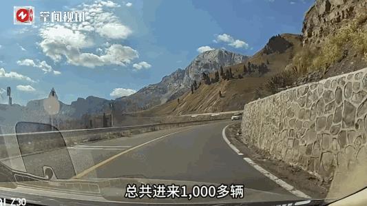 “这下后悔了吧！”近日，新疆伊犁，一男子开车带着妻子自驾游时，发现前方突然出现了