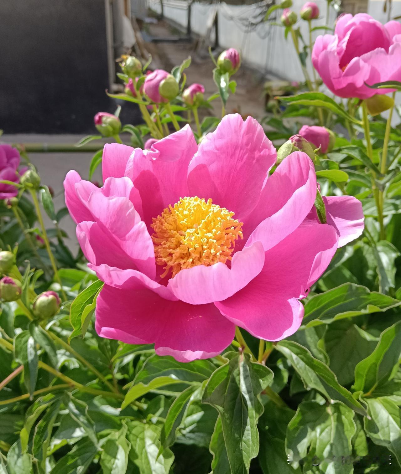 最好的养生就一个字:躲。躲烂人，躲烂事，躲闲言碎语，躲是非纷争。躲无意