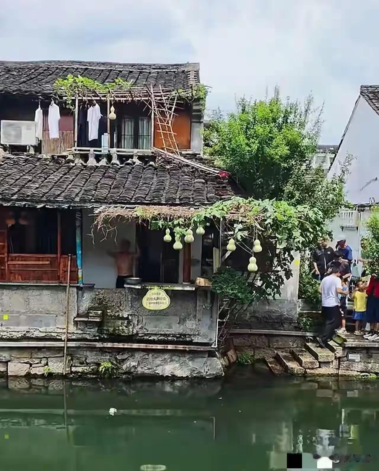 别光骂绍兴文旅了，先心疼心疼那个爷爷吧。75岁，失独老人，在阳台上种了几个葫
