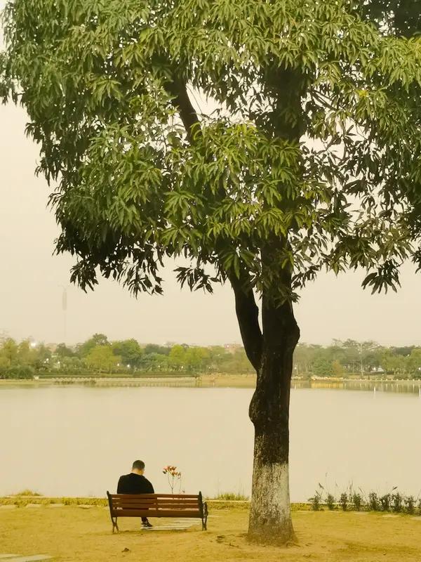 想变得淡定、从容，其实是有方法的。淡定不是天生的，而是“认知+能力+心态