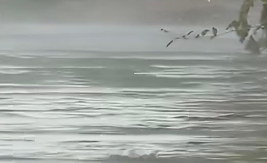 京津冀将有暴雨“白海豚”给京津冀送雨，再次戳破一个误区：台风影响从不靠“登陆点”