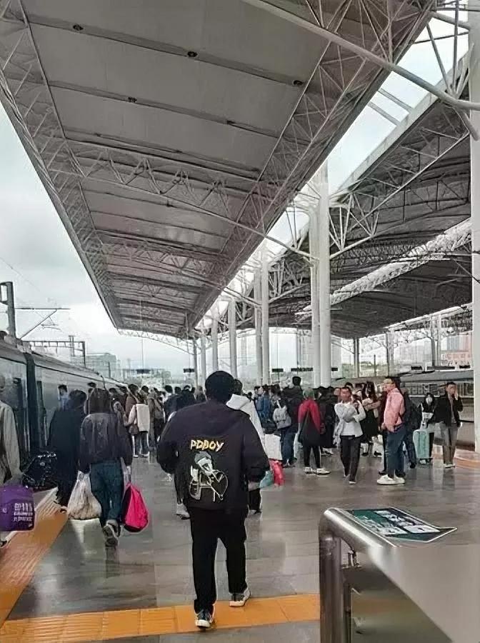 古人的嘴，比天气预报还准。你信吗？我妈用二十年经验，把“鱼放三日臭”活成