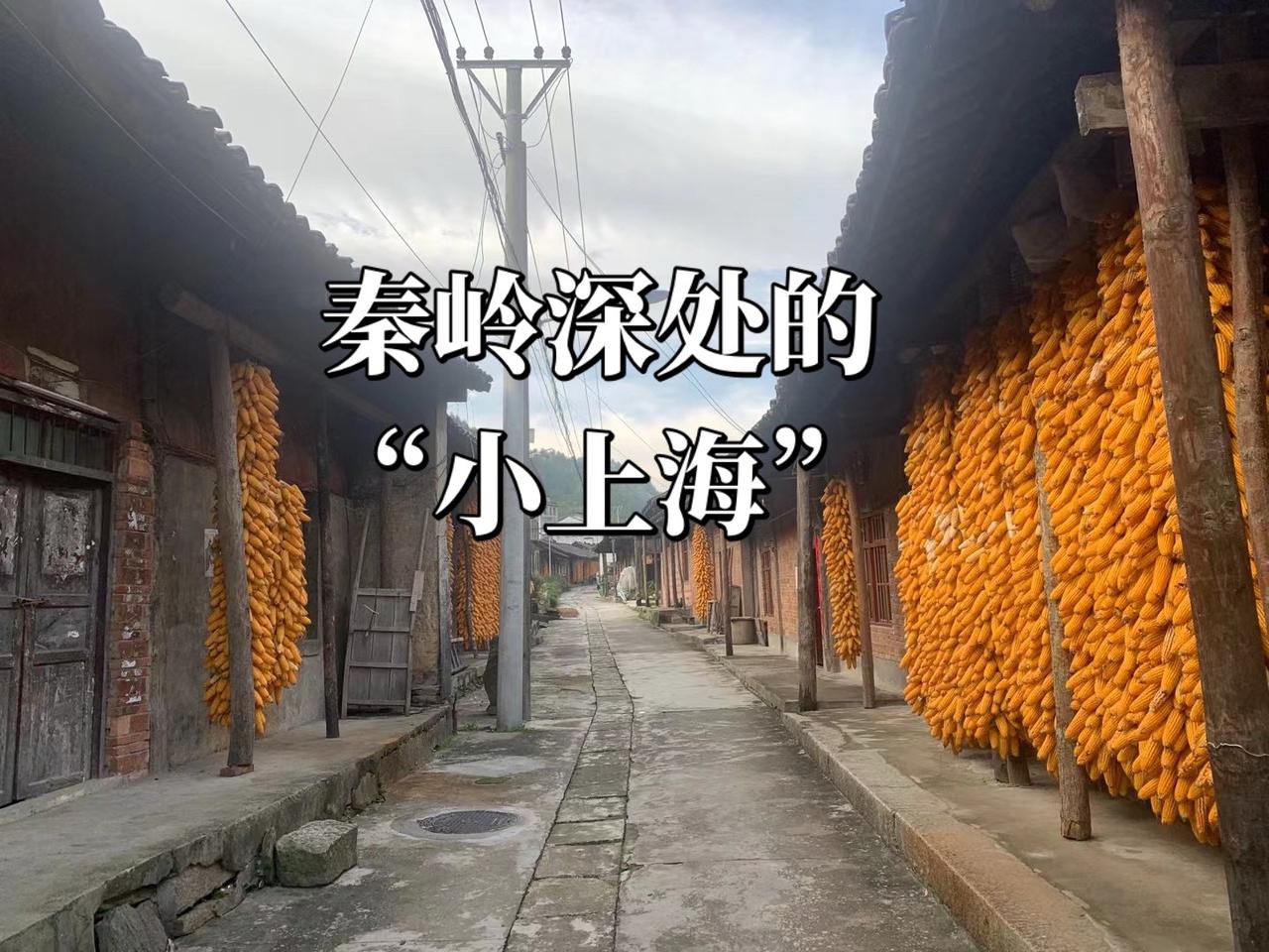 秦岭深处的“小上海”秦岭绵延千里，藏着无数沉寂的村落，旬阳坝却是个藏着过往繁华的