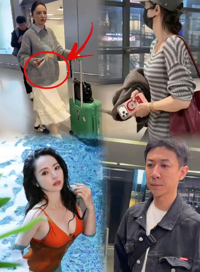 都把董璇逼成啥样了，张维伊更不敢说生小孩了，骤然降温这么冷的天，董璇居然