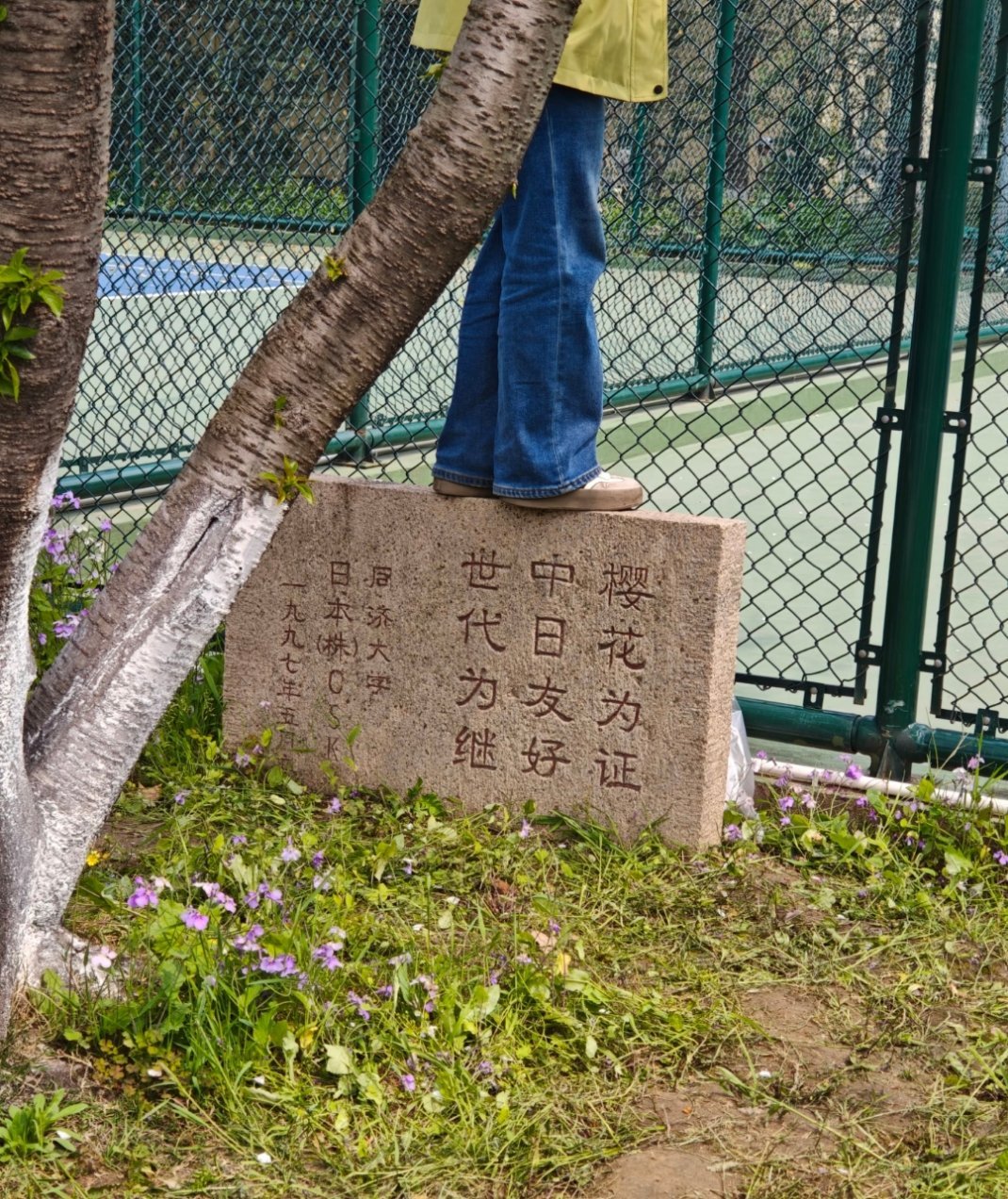 谁懂，这淡淡的讽刺感……